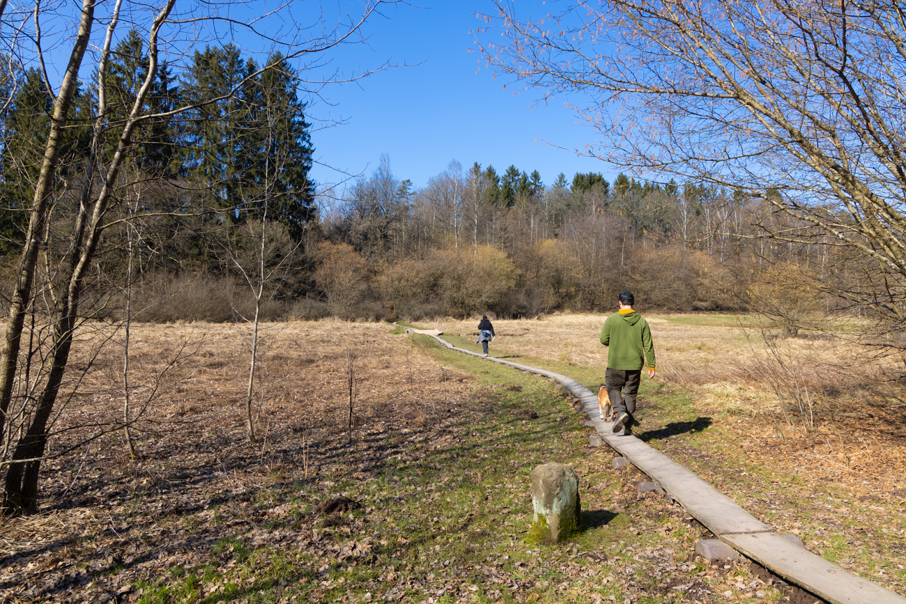 Bohlenweg durch den Oberthaler Bruch