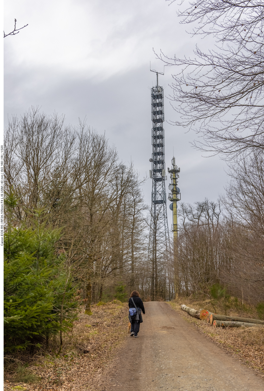 Auf dem Höcherberg