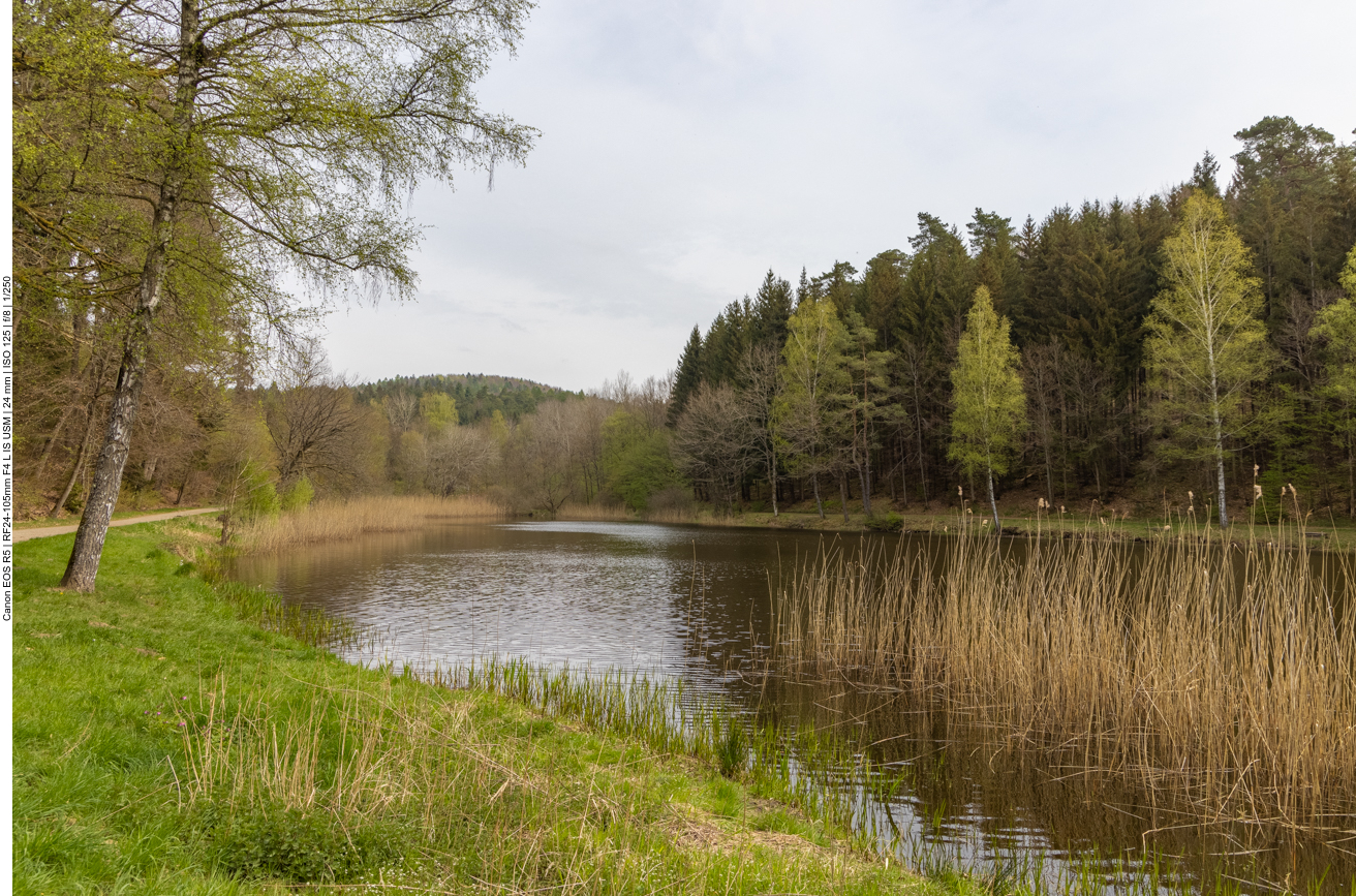 Am Sägeweiher