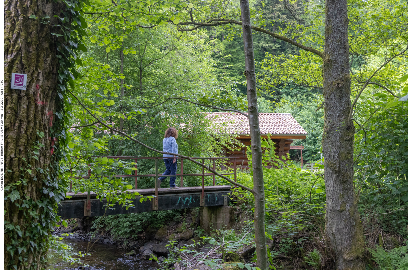 Brücke über die Prims