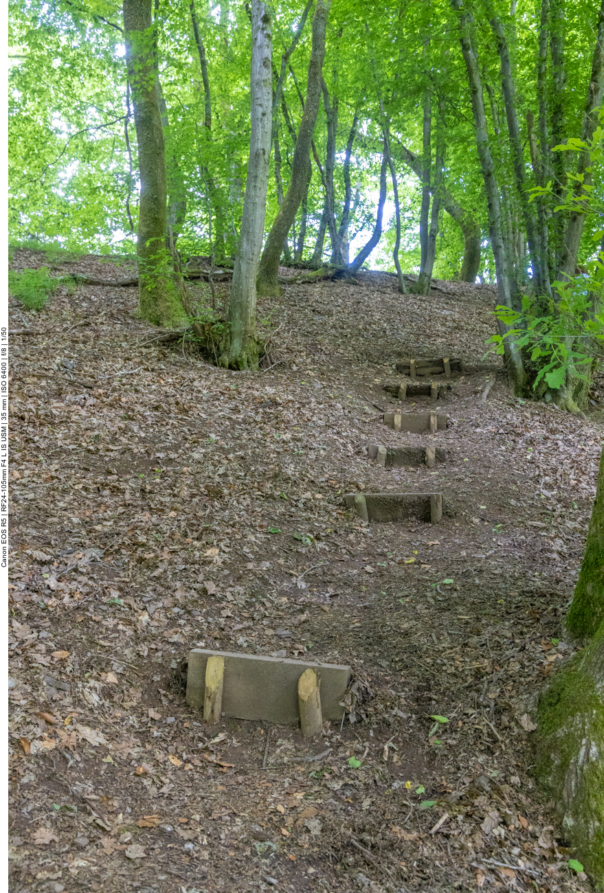 Wieder einmal Treppauf