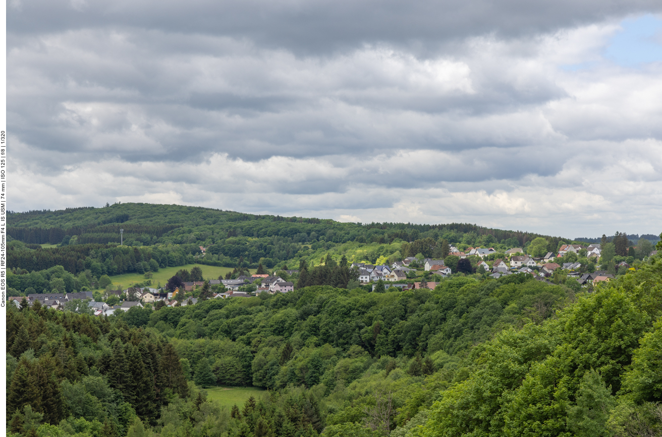 Blick auf Nonnweiler