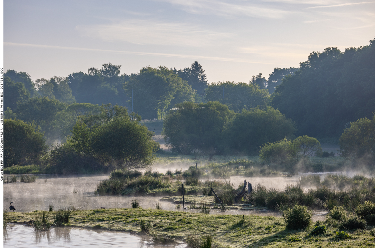 Morgennebel über dem Beedener Bruch