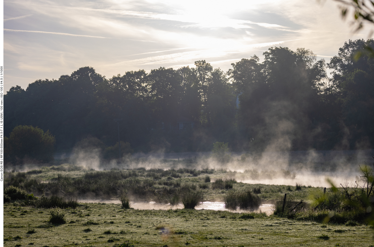 Morgennebel über dem Beedener Bruch