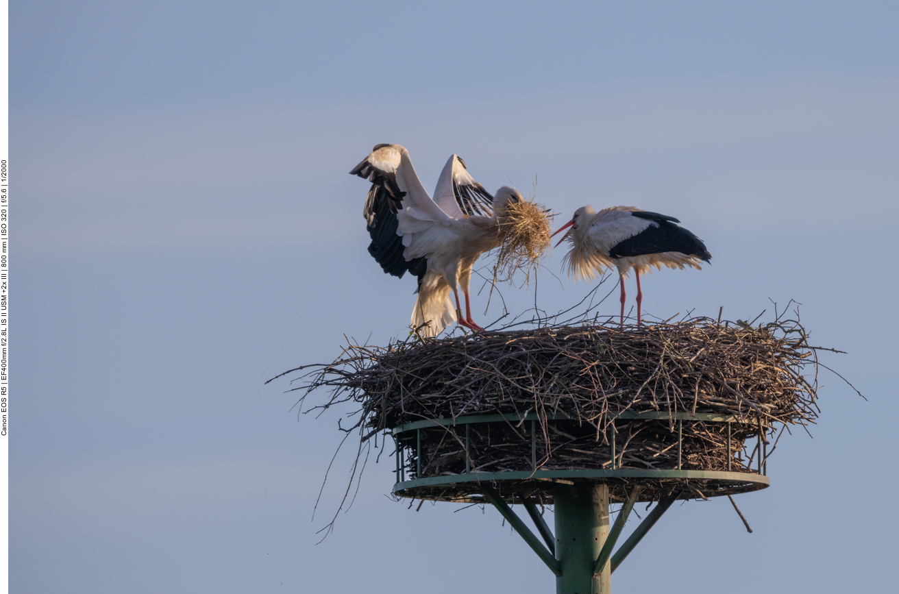 ... Freude beim Partner