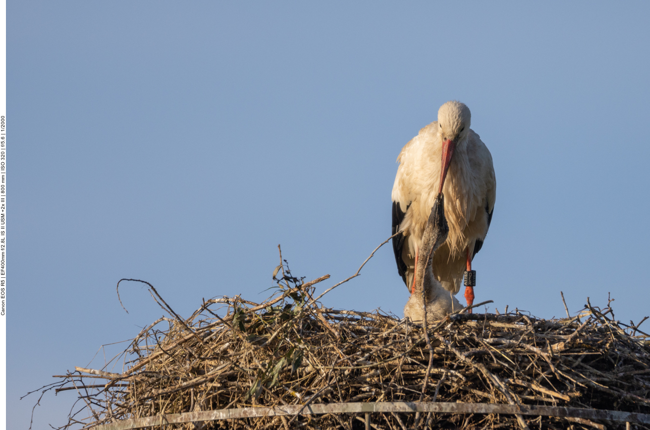 "Mama, ich bin sooo hungrig!"