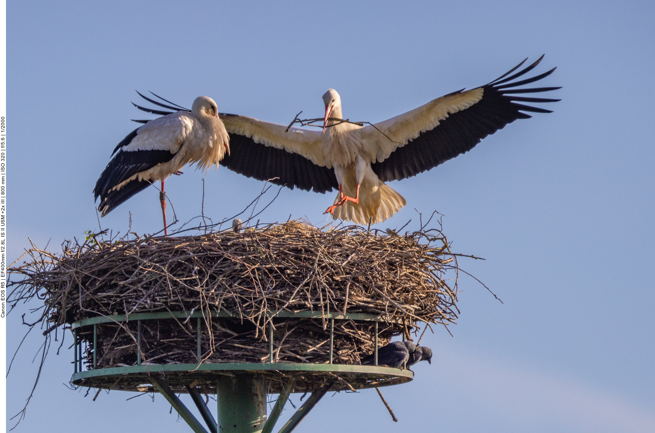 Fertigmachen zur Landung