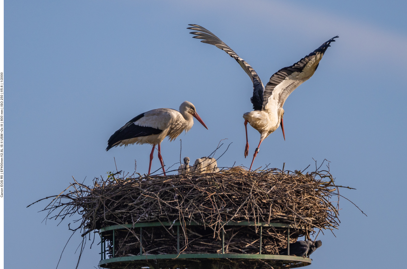 Nun ist es wieder Zeit für den Partner ...
