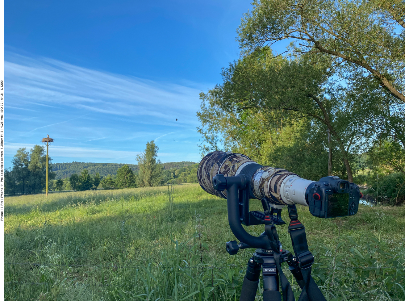 Weiter geht's am zweiten Nest