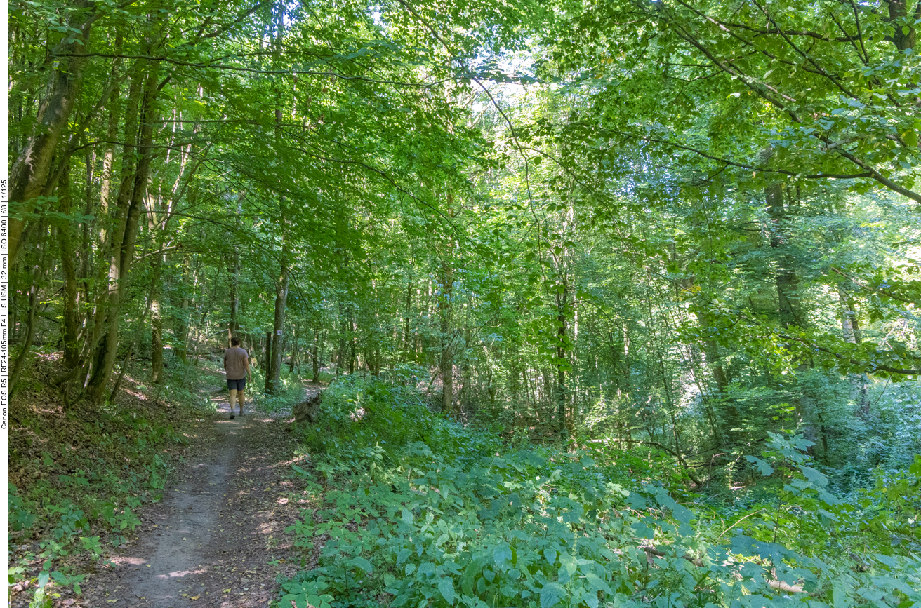 Bei der Hitze sind wir froh über den Schatten
