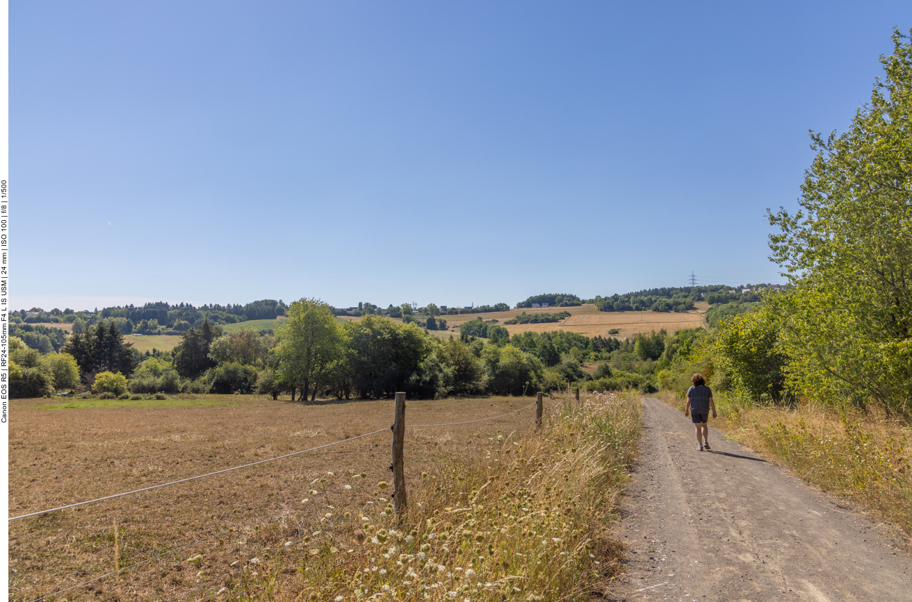 Weg um den Absinkweiher