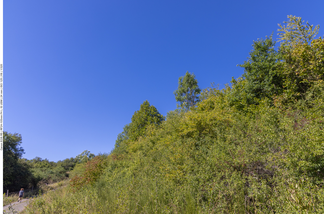 Schöner blauer Himmel