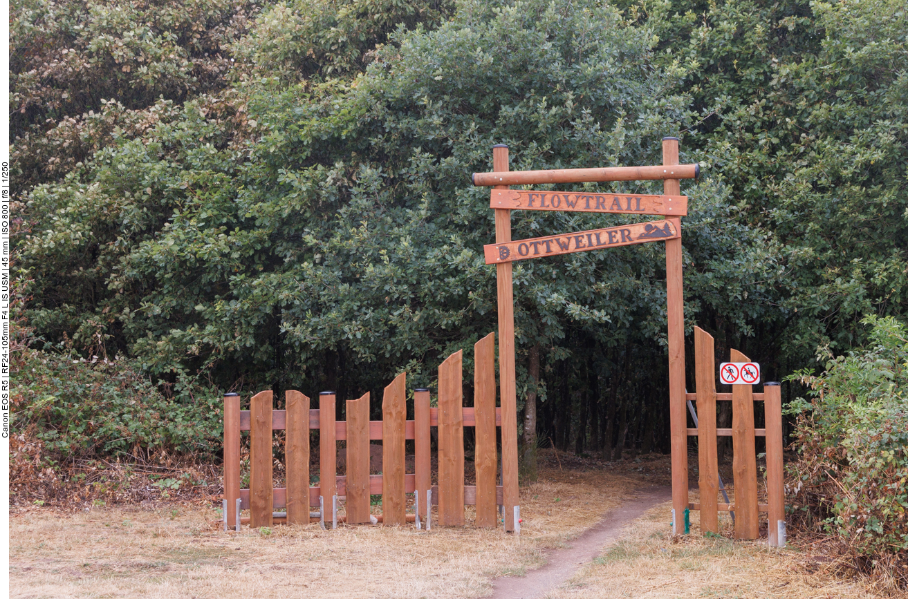 Hier oben startet auch der Flowtrail für Mountainbiker