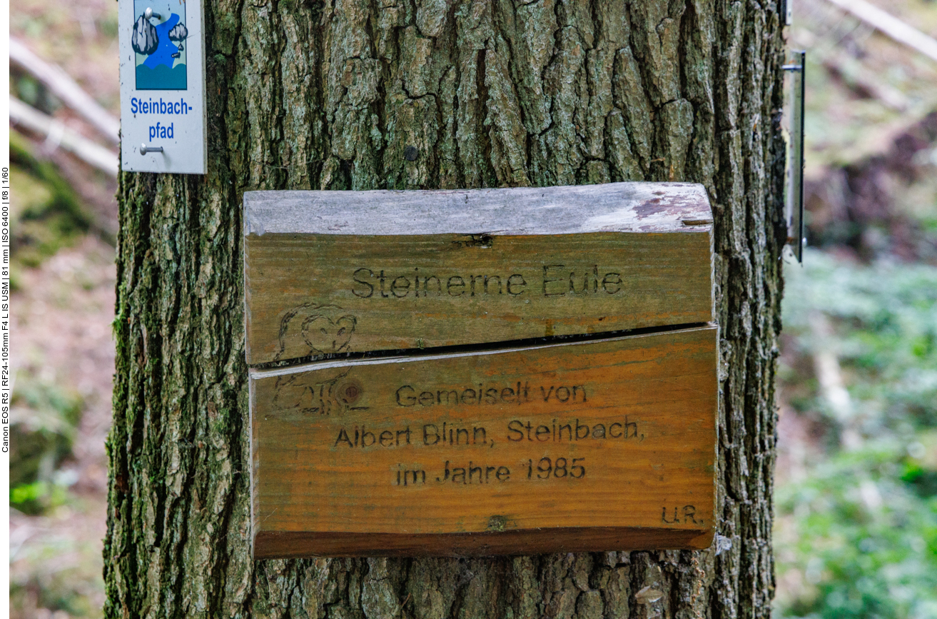 Man muss schon genauer hinschauen ...