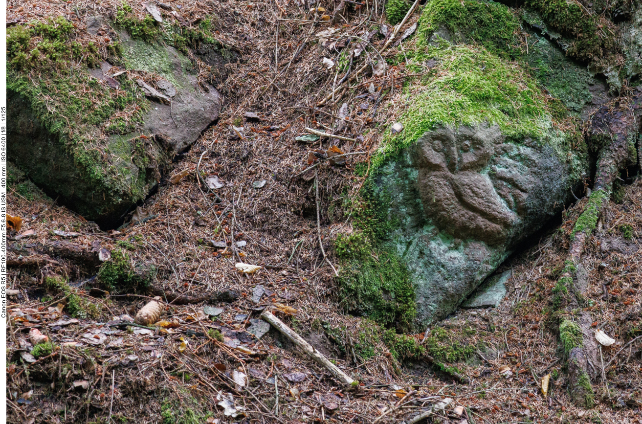 ... um die Eule zu finden