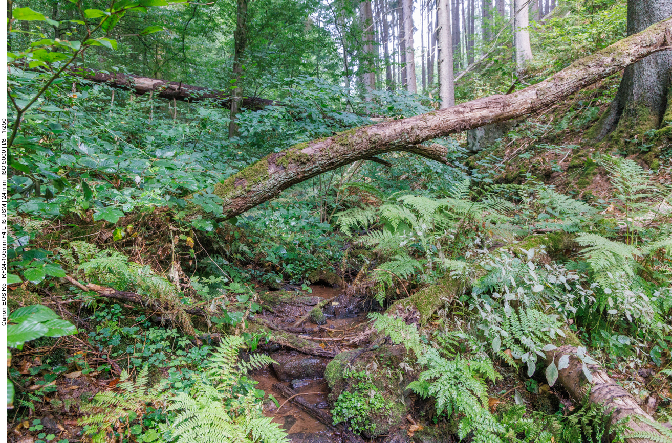Es fließt nur wenig Wasser ...