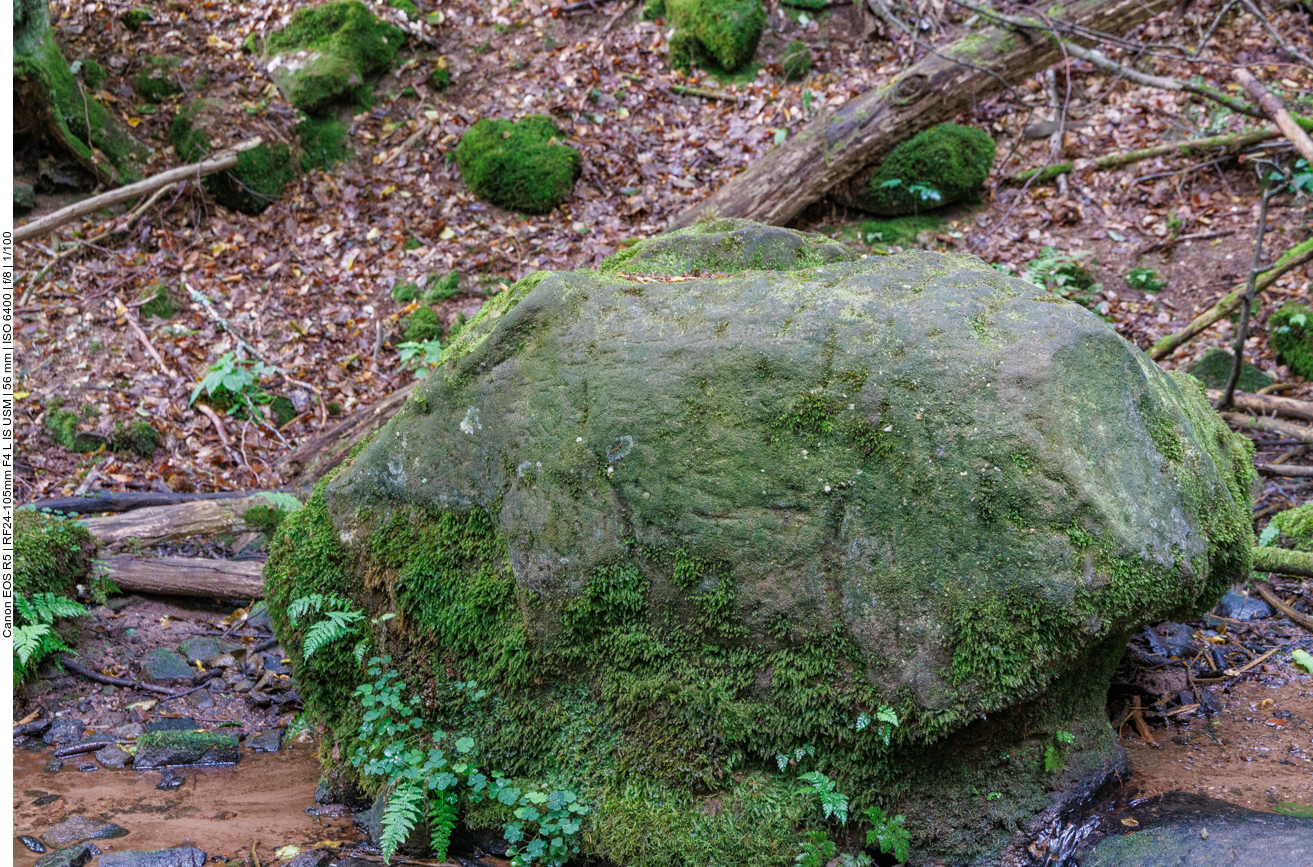... sie ist aber auch nur schwer zu erkennen