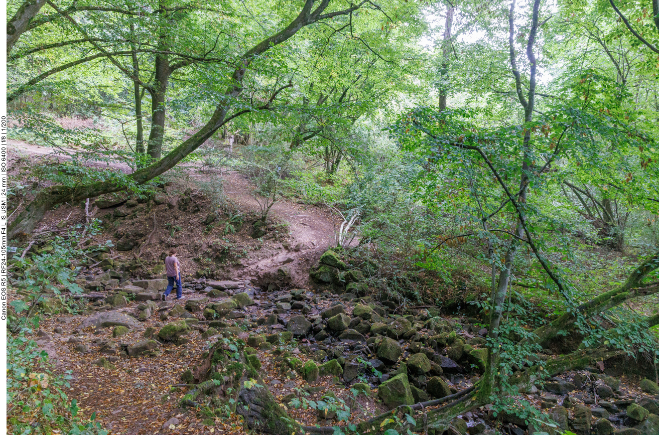 Das Bett des Steinbachs, fast am Ende der Wanderung
