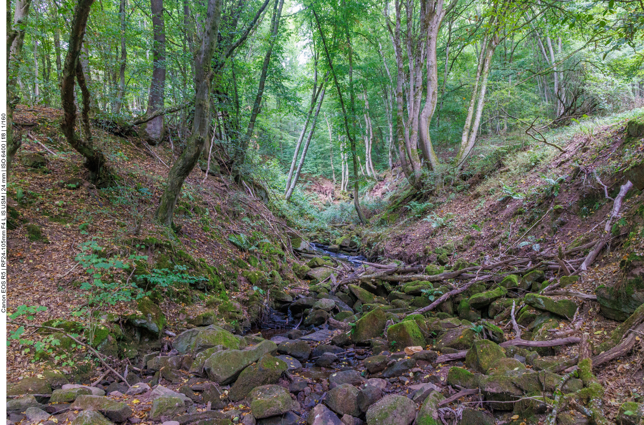 Auch hier fließt kaum Wasser :-(