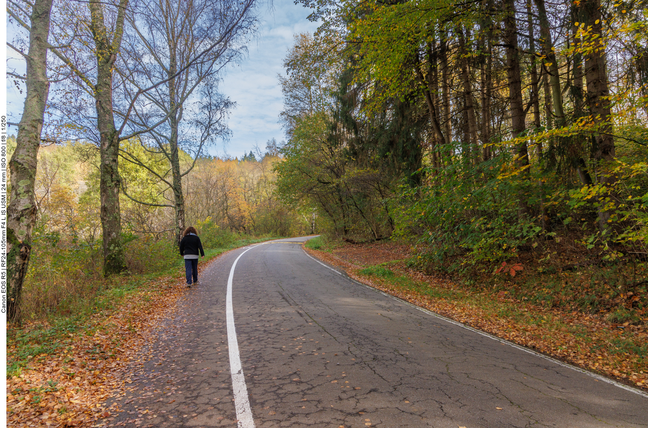 Leider führt der Weg auch ein Stück an einer Straße entlang