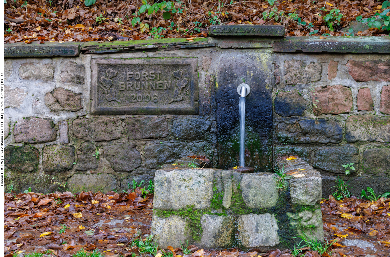... Forstbrunnen