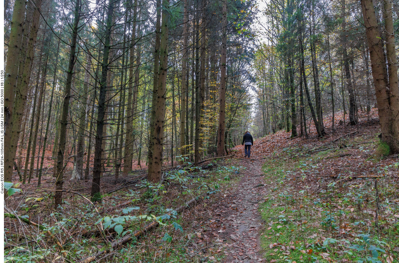 Letzter Aufstieg vor dem Ziel