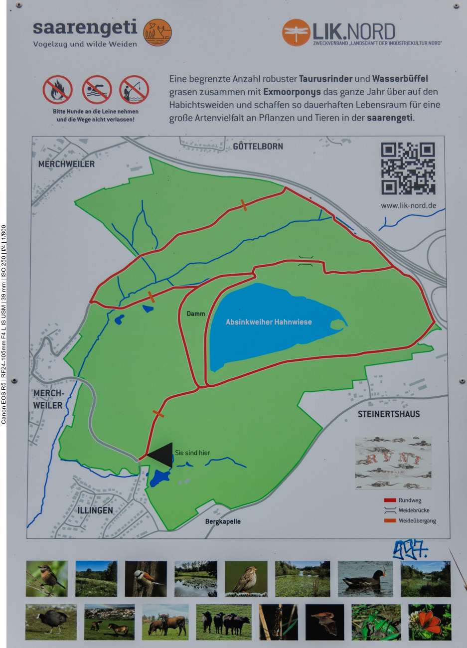 Infos zur Saarengeti