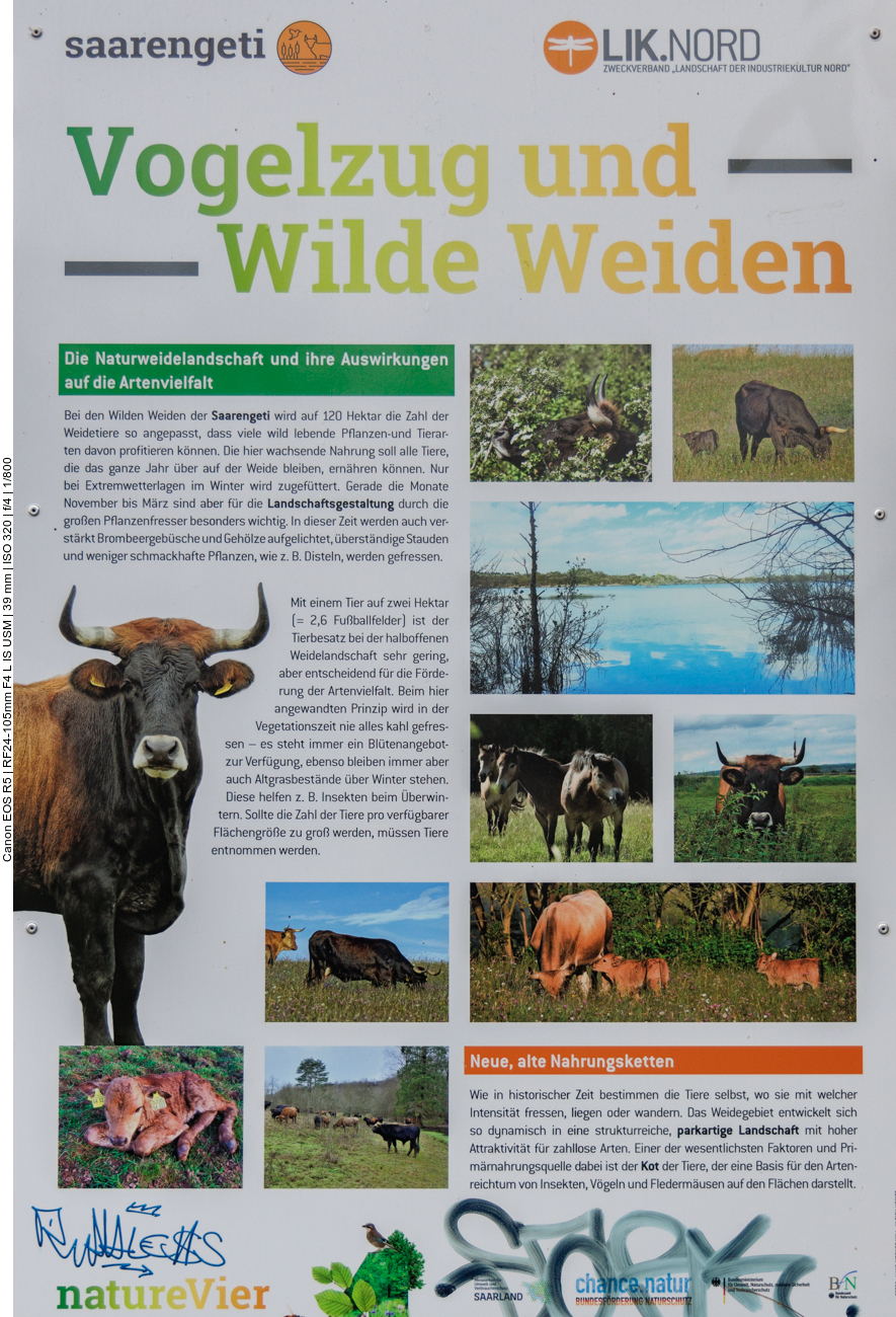 Infos zur Saarengeti