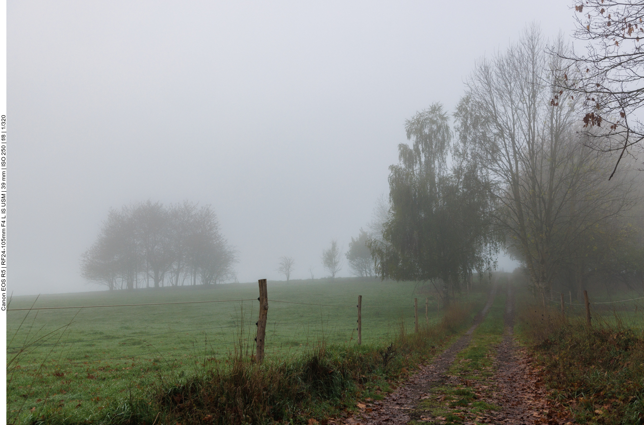 Leider war es heute sehr neblig