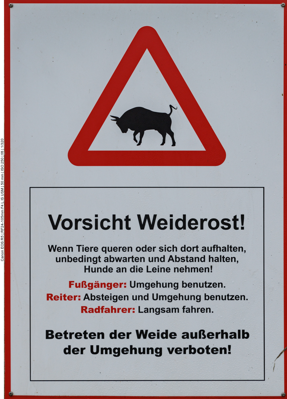 Alle müssen die Rinder umgehen, nur die Radfahrer brauchen sich nicht zu fürchten ;-)