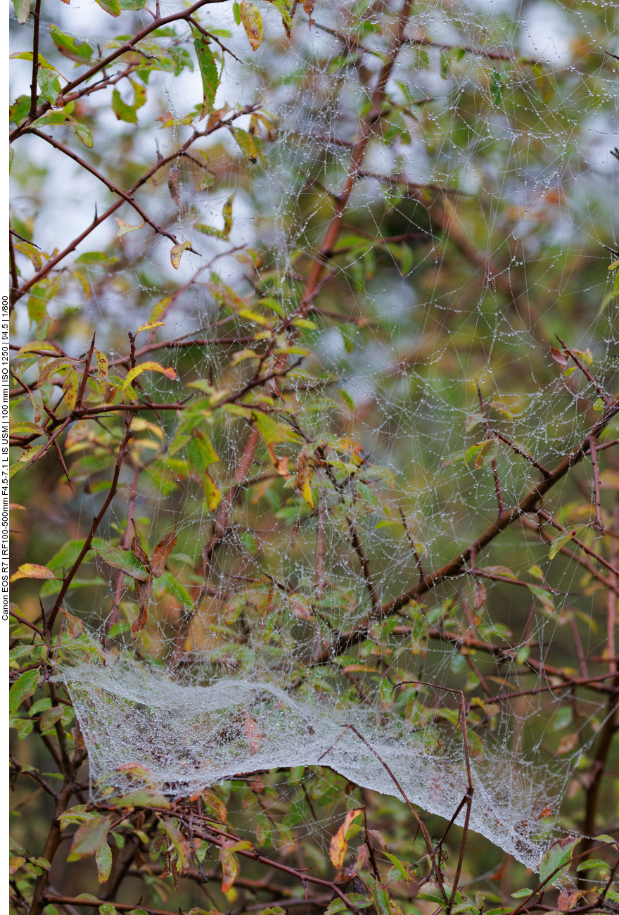 ... der obere Teil ist 3d-gewebt