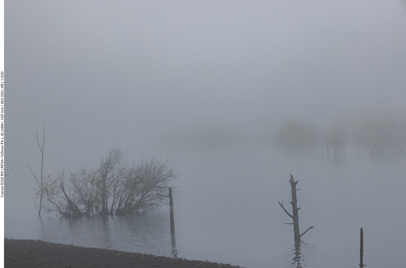Nebel über dem Hahnwiesweiher