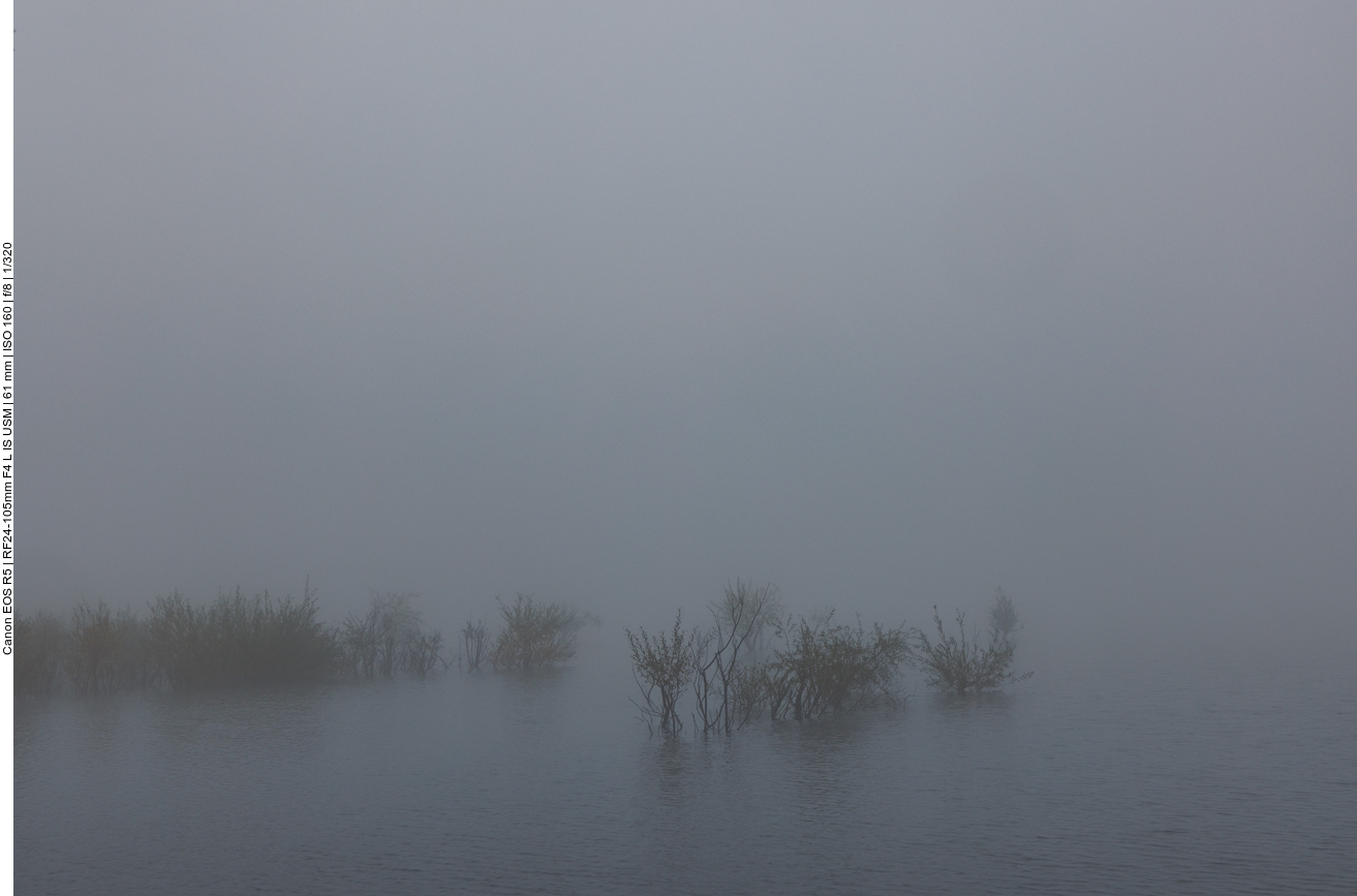 Nebel über dem Hahnwiesweiher