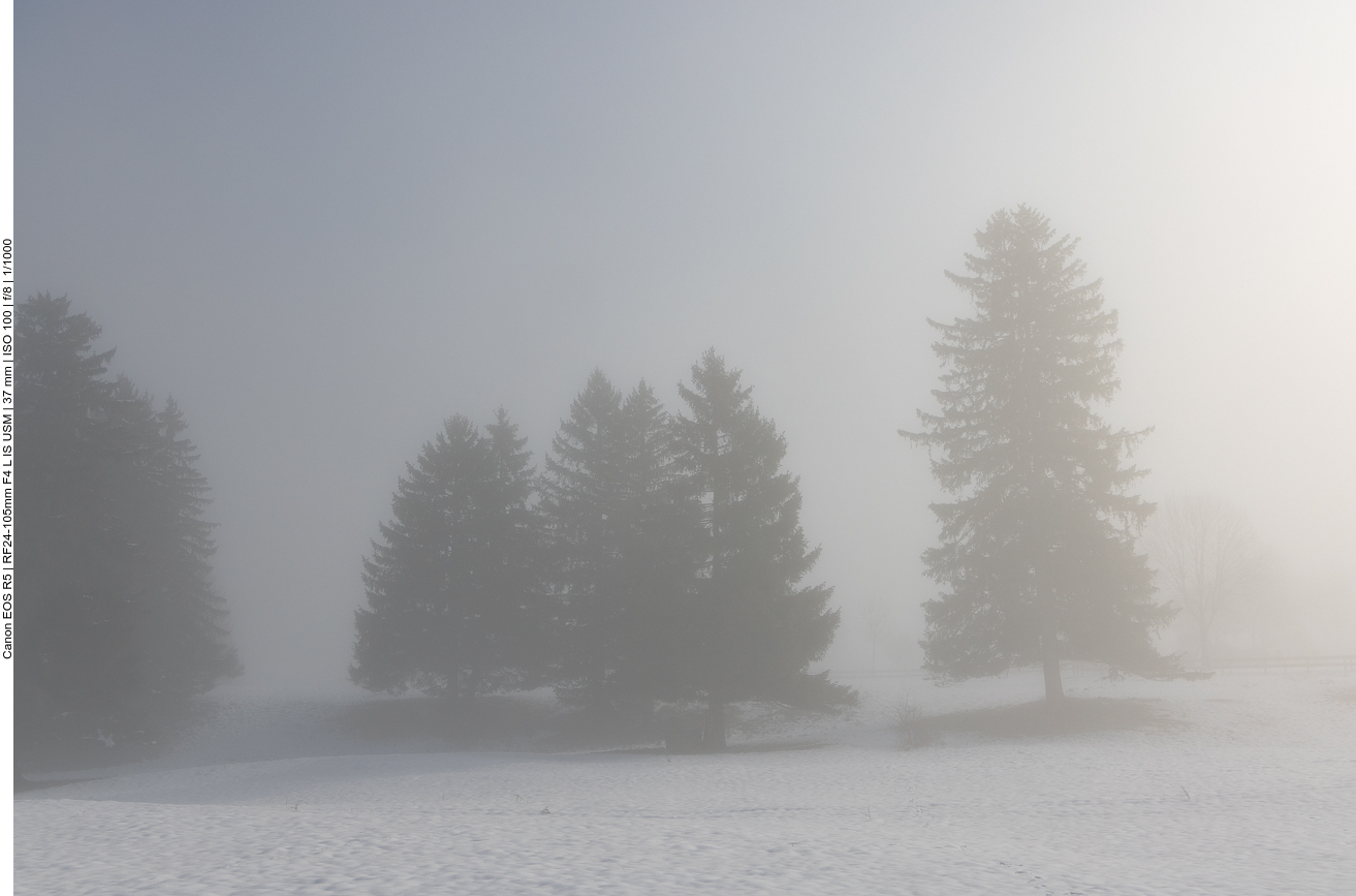 ... alles ist nur schemenhaft zu sehen 