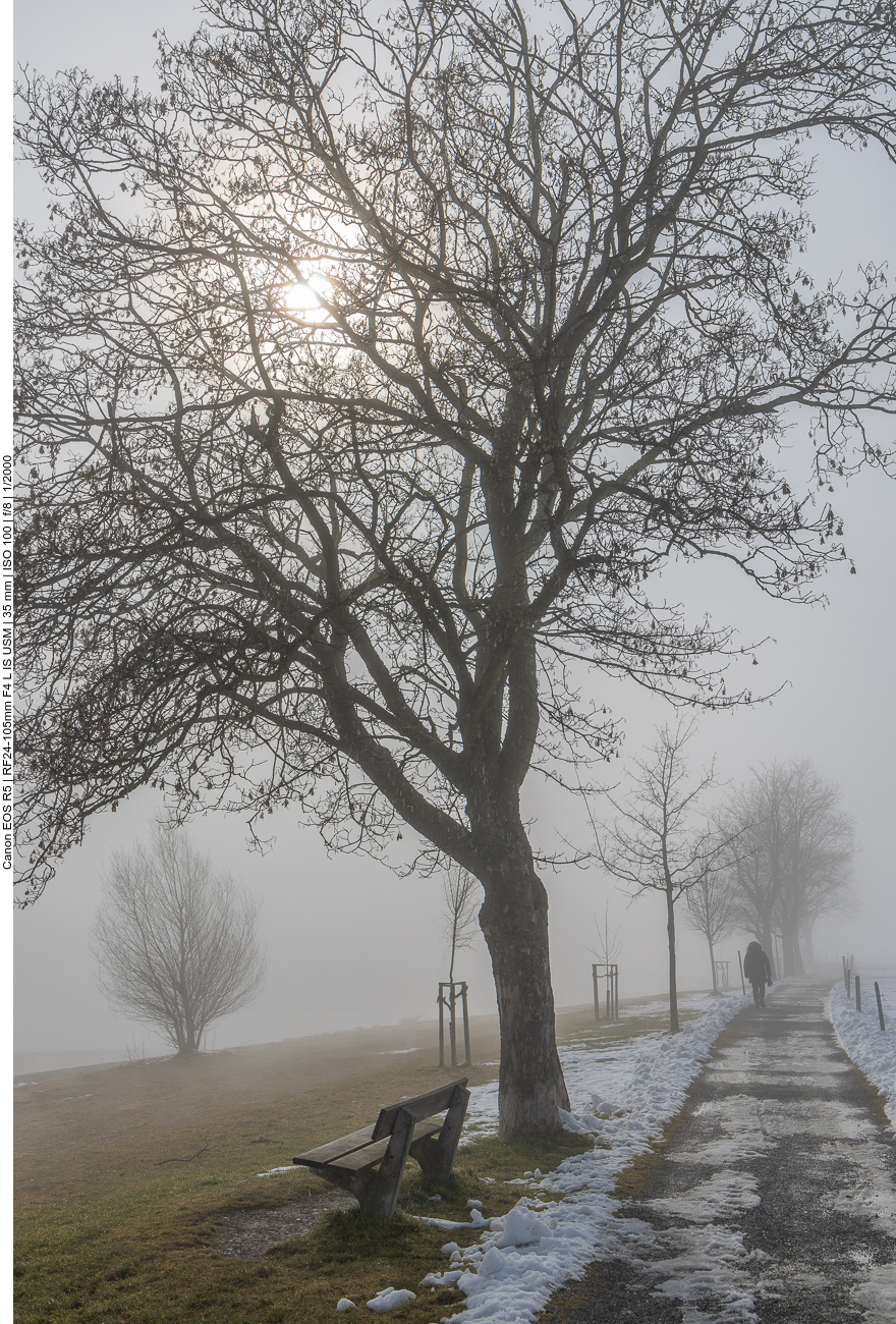 Die Sonne schafft es leider noch nicht durch den Nebelvorhang 
