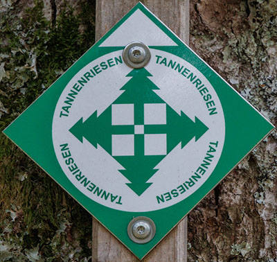 Kennzeichnung des Premiumwanderwegs "Tannenriesen" 