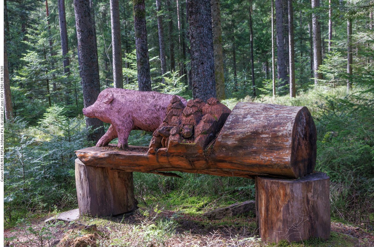 Schweinische Schitzerei ;-) 