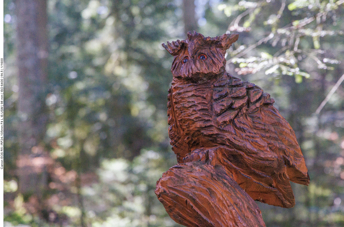 Leider keine echte Eule :-( 