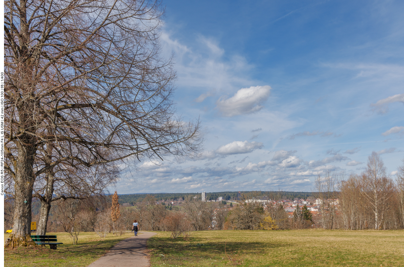Freudenstadt in Sicht 