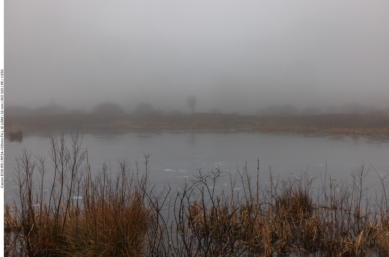 Manche Wasserflächen sind zugefroren 