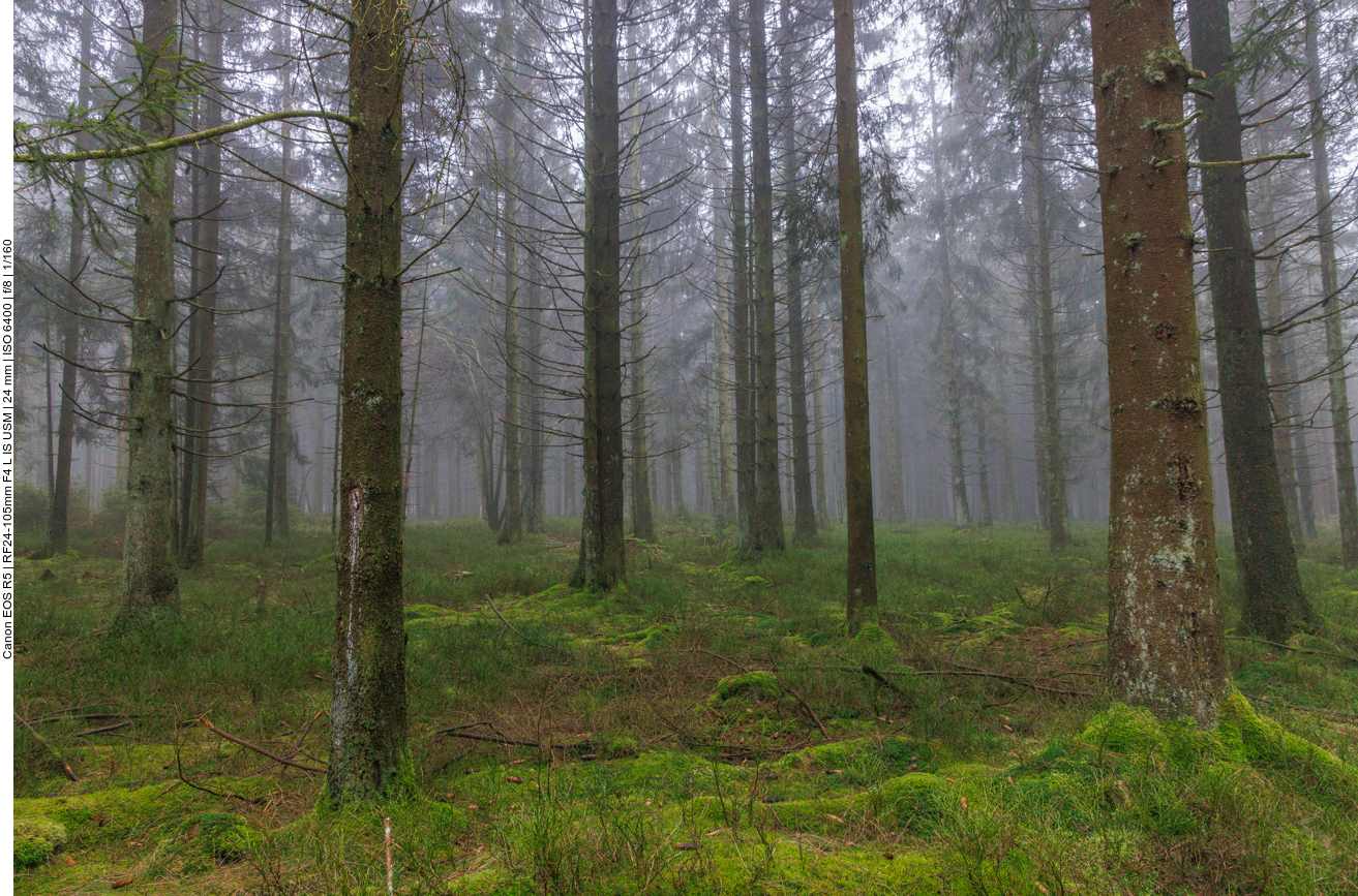 Fast wie in Finnland 