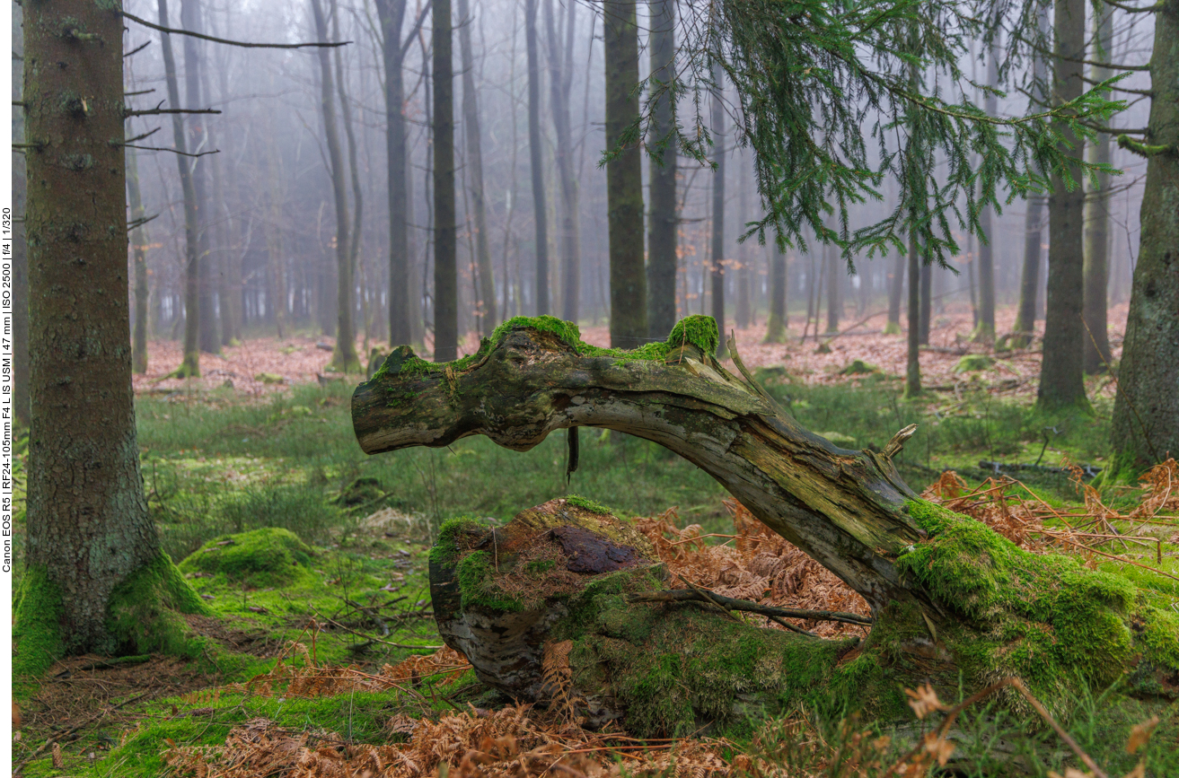 Hölzerne Schlange ;-) 
