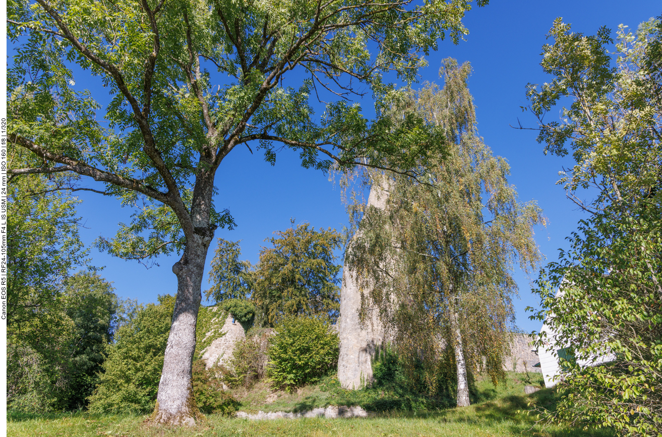 Die Ruine der Burg Dollendorf