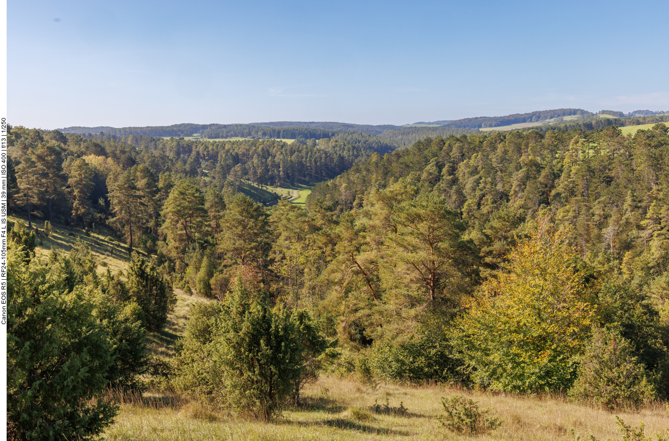 Blick ins Lampertstal 