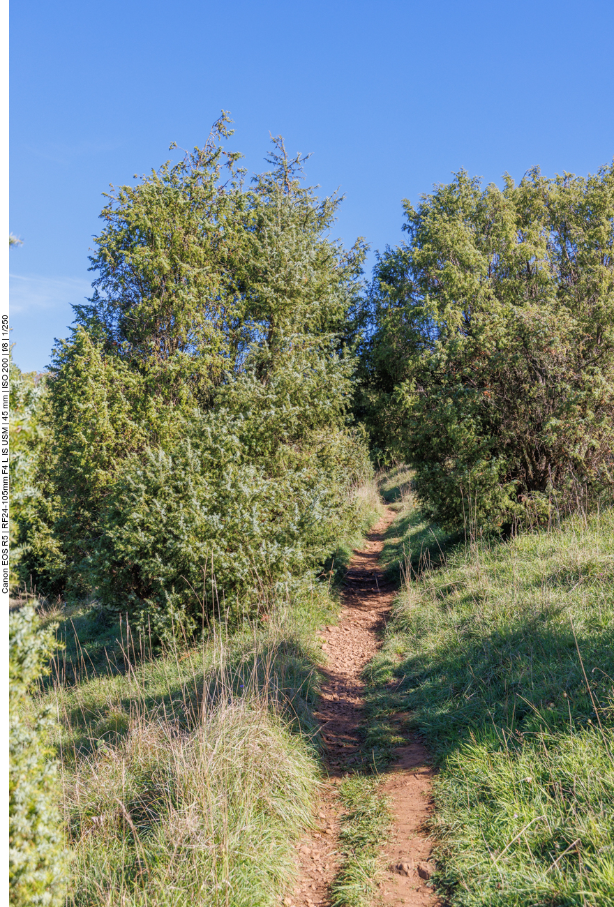 Ein schmaler Wanderweg ... 