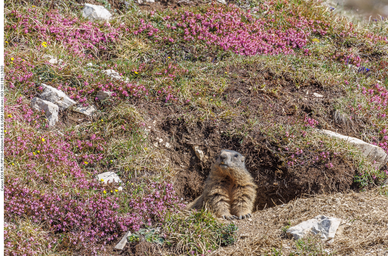 Aufpassen und nach den anderen schauen 
