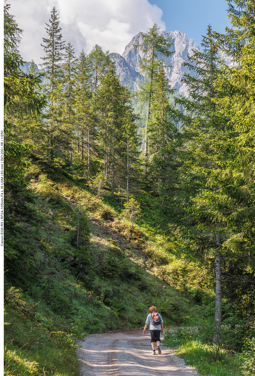 Nun geht es erstmal hinauf 