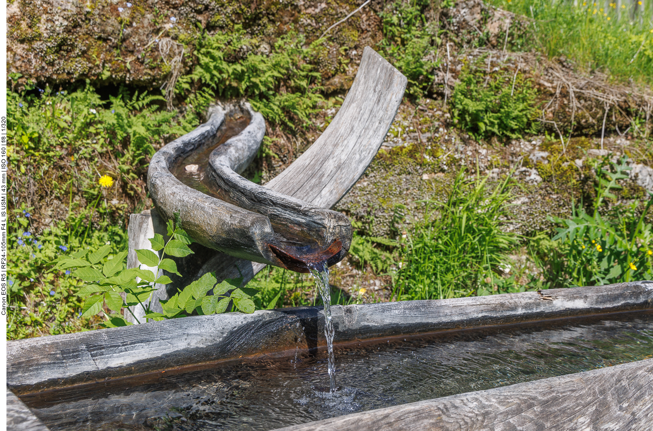 Schön geschwungener Verlauf der Holzrinne 