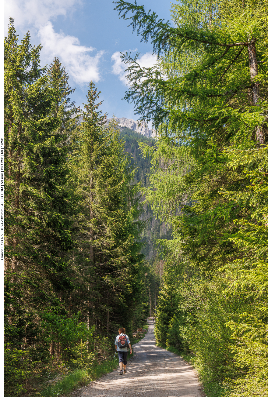 Weiter zum Berg hinauf 