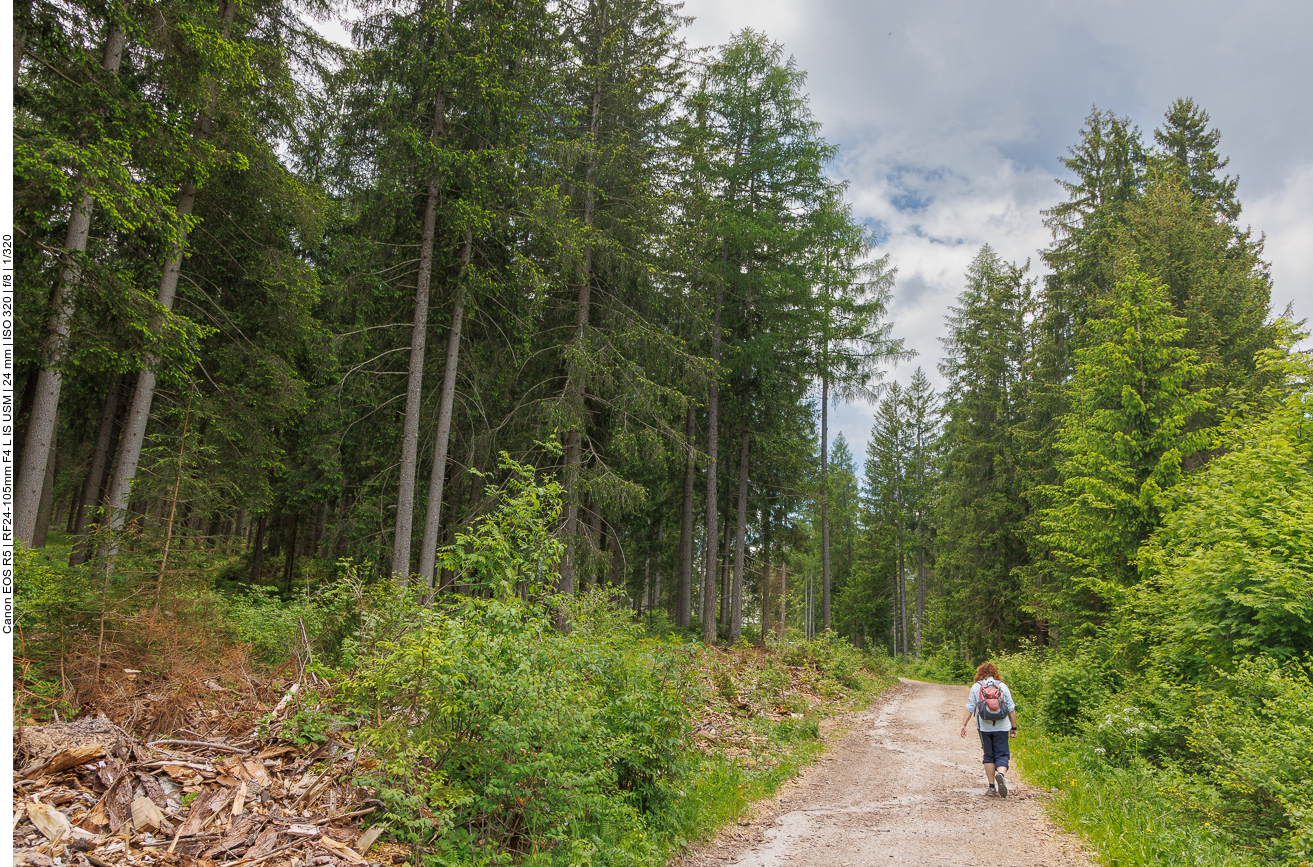 Fortsetzung des Weges zum Drauursprung 